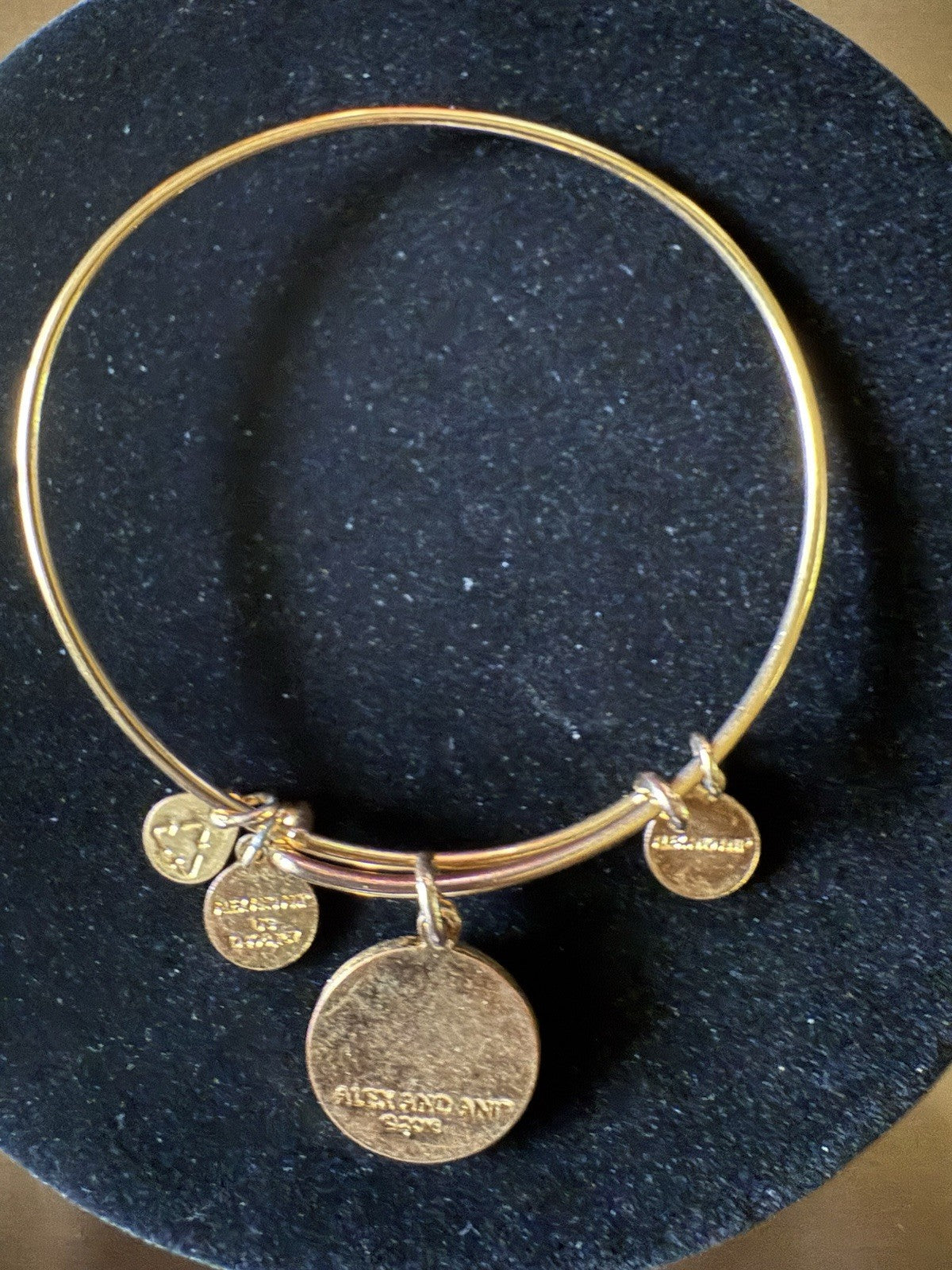Alex And Ani Charm Bracelet