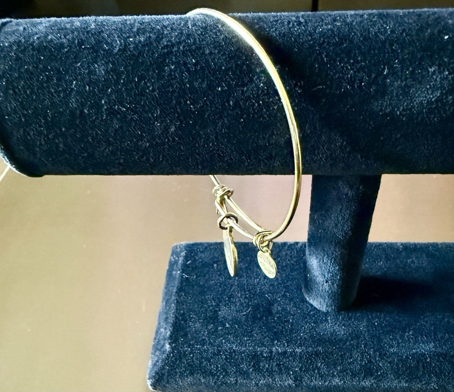 Alex And Ani Charm Bracelet