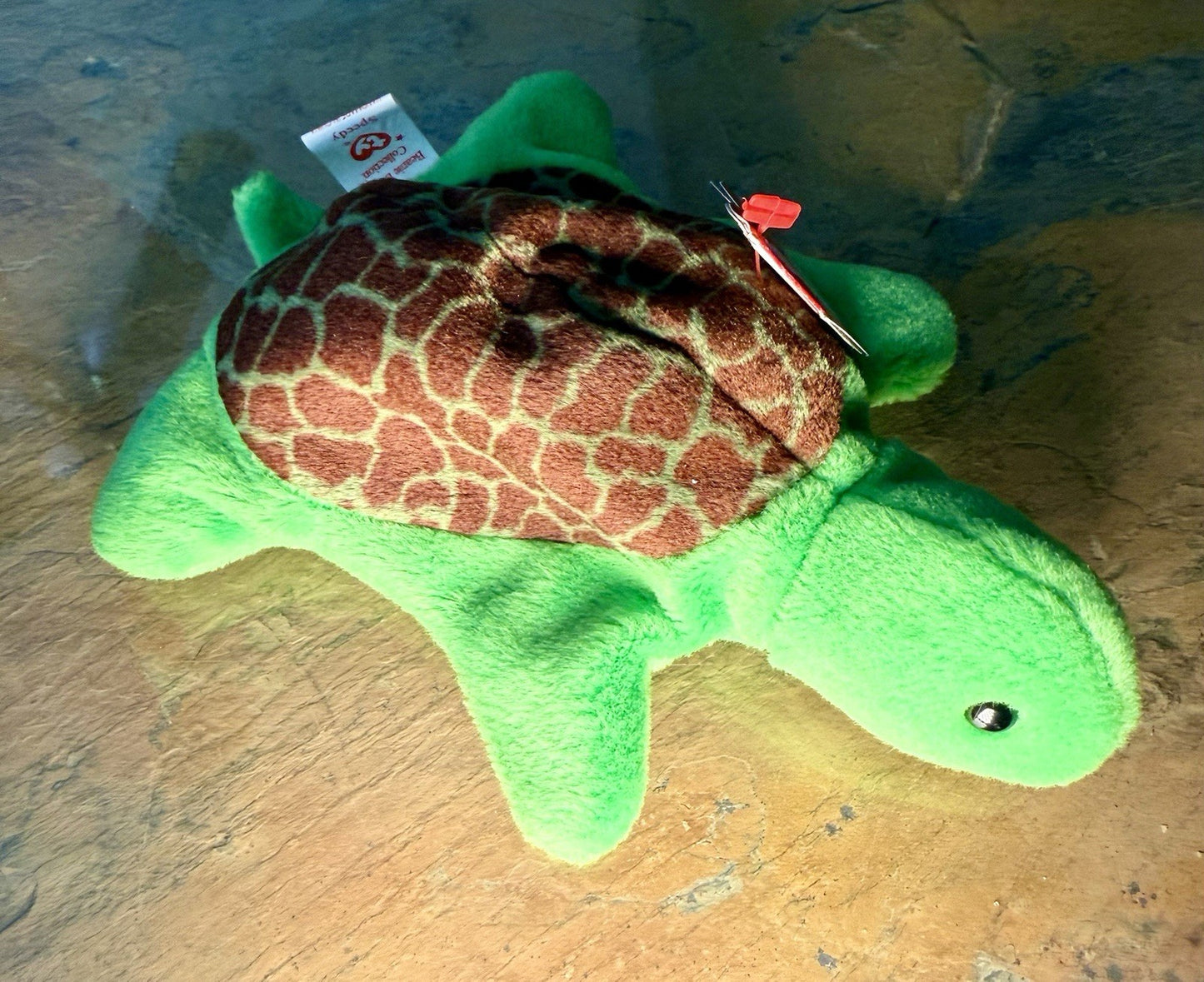 Ty Beanie Baby - SPEEDY the Turtle