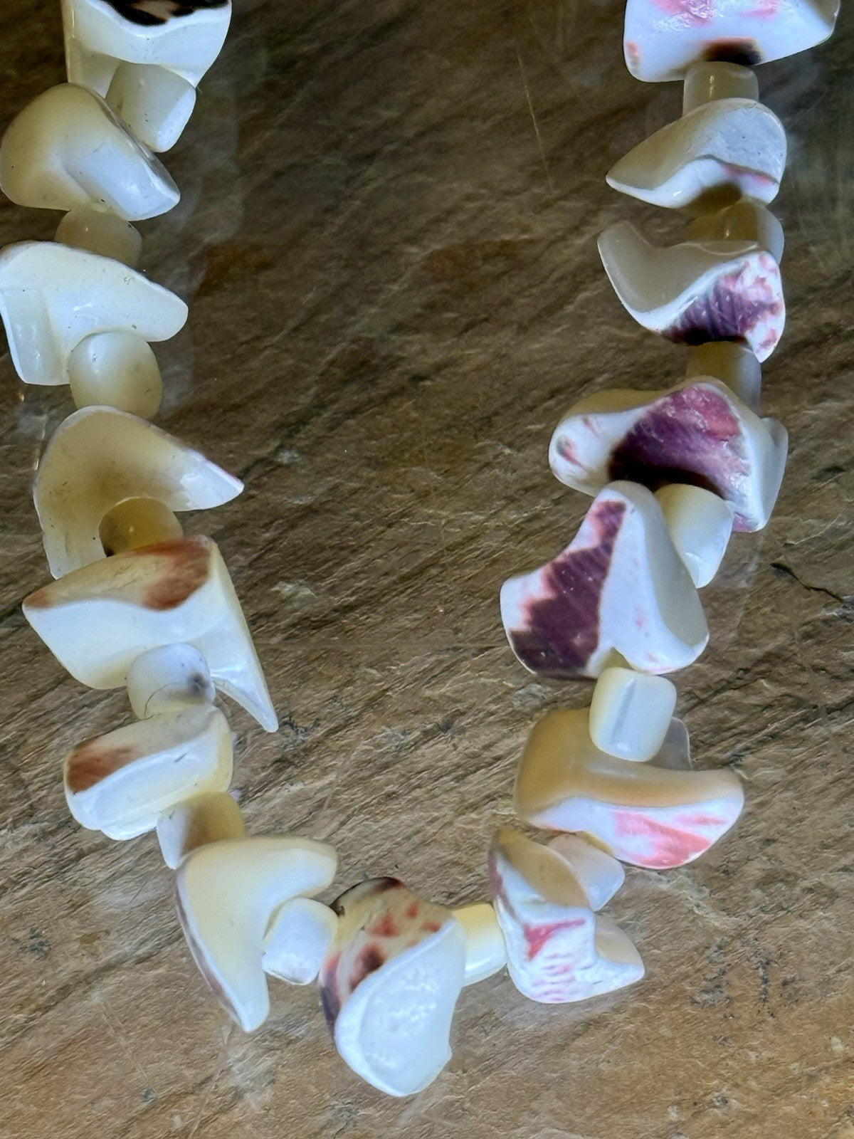 vintage necklace made of natural Trochus seashell beads