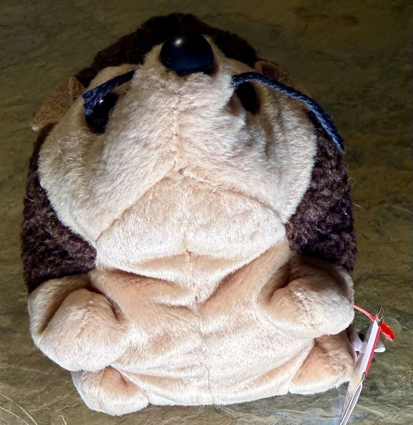 Ty Beanie Baby - PRICKLES the Hedgehog 6" NEW MWMTs Plush Stuffed Animal Toy