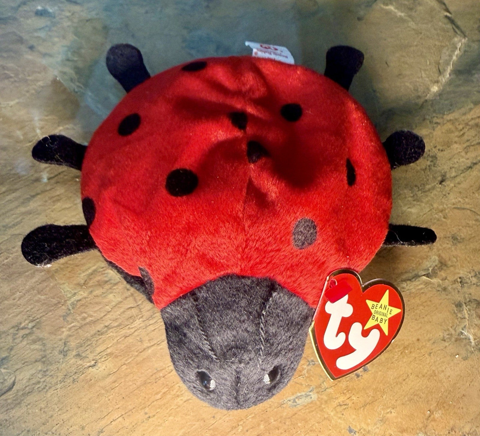 TY Beanie Baby Lucky The Ladybug with Spots