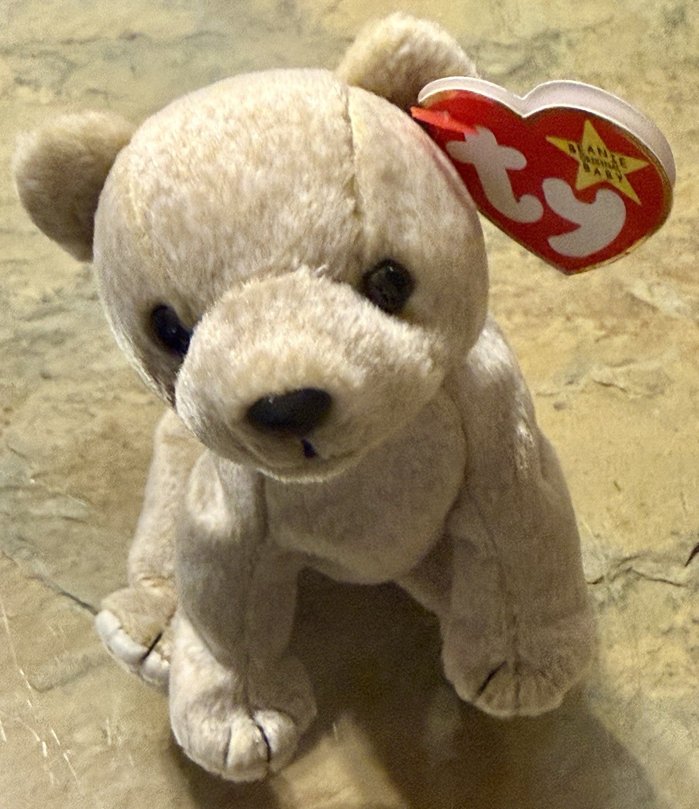 TY Beanie Baby Almond the Beige Bear - Beige