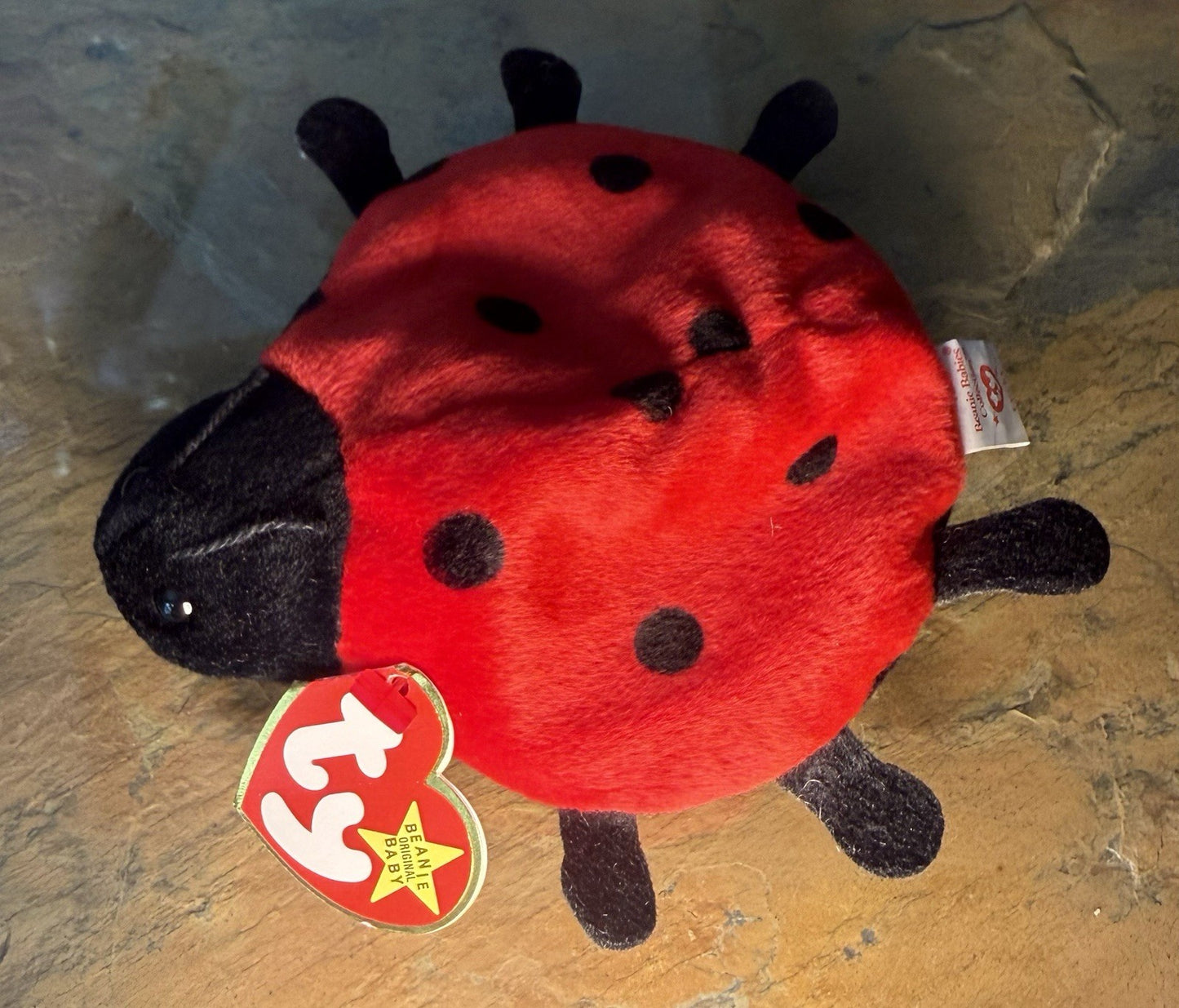 TY Beanie Baby Lucky The Ladybug with Spots
