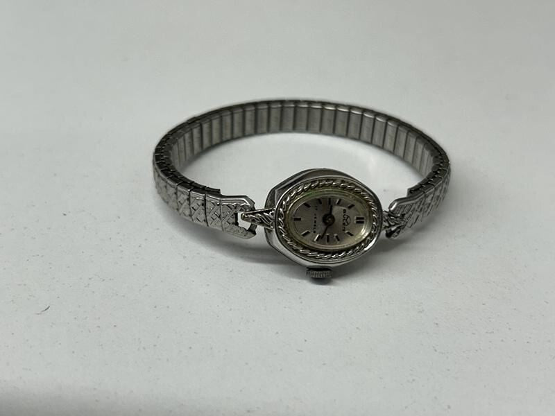 Buler 17 Jewels Mechanical Wind Wrist Watch