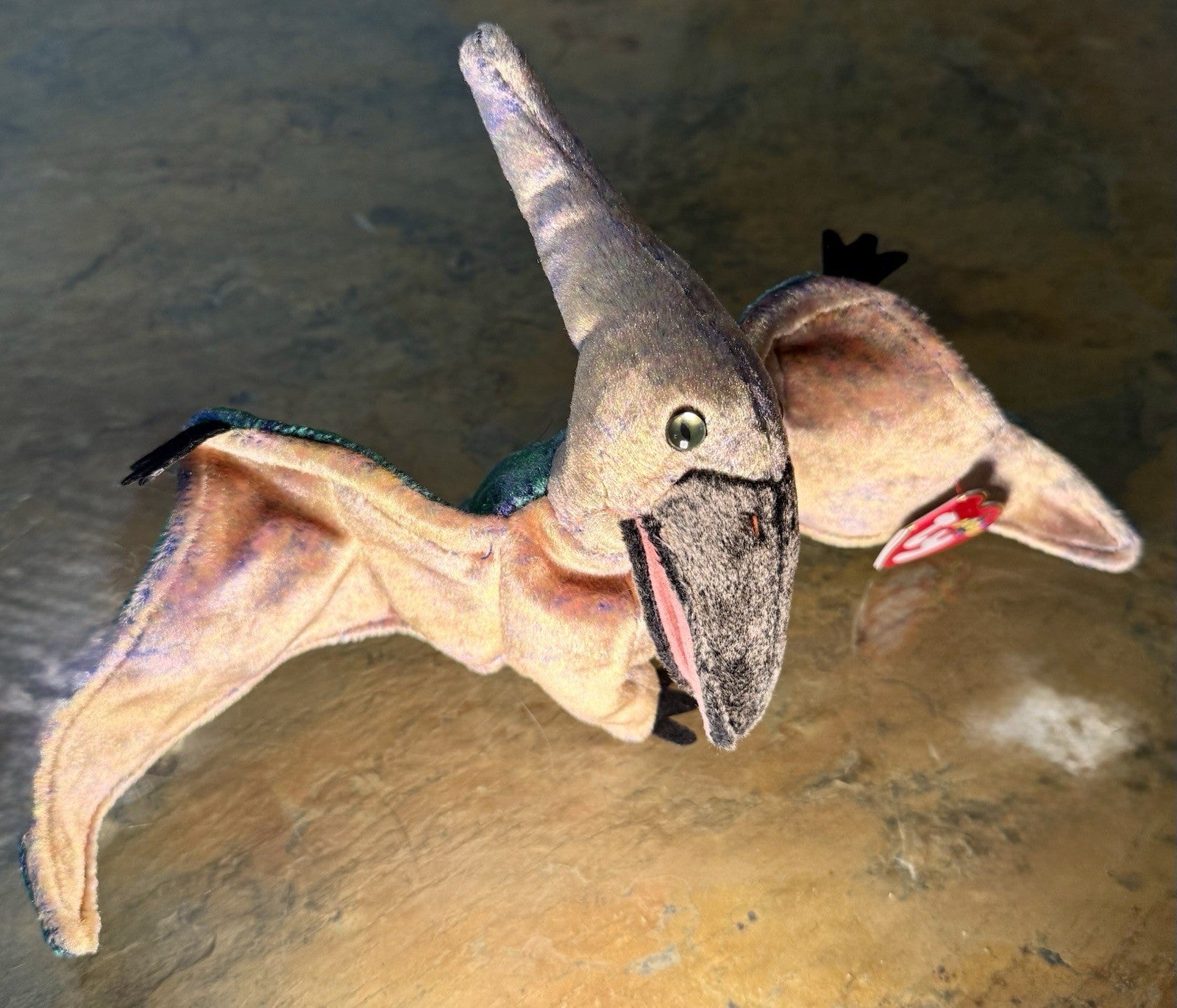  Ty Beanie Baby Swoop the Pterodactyl