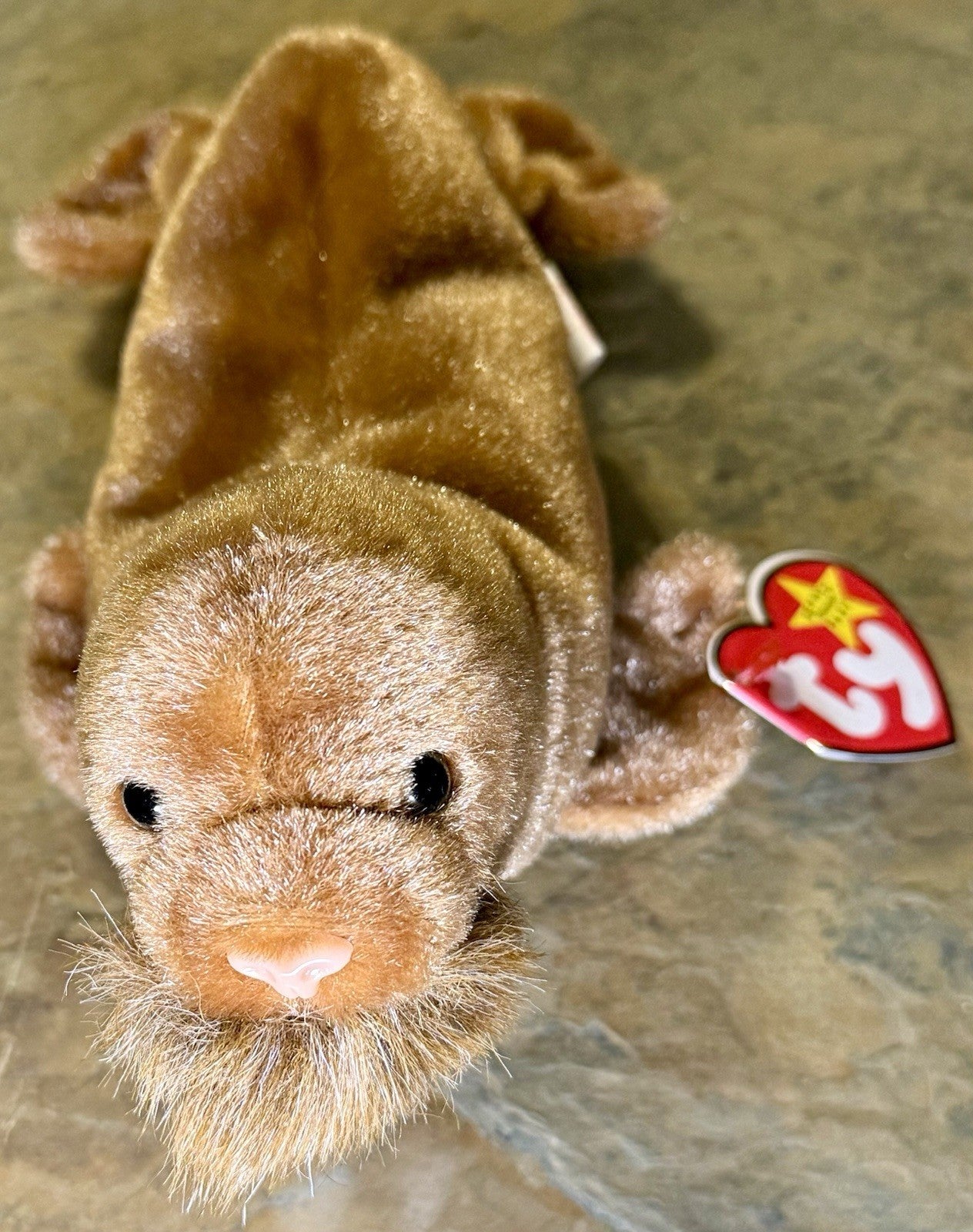 Ty Beanie Baby Paul the Walrus 