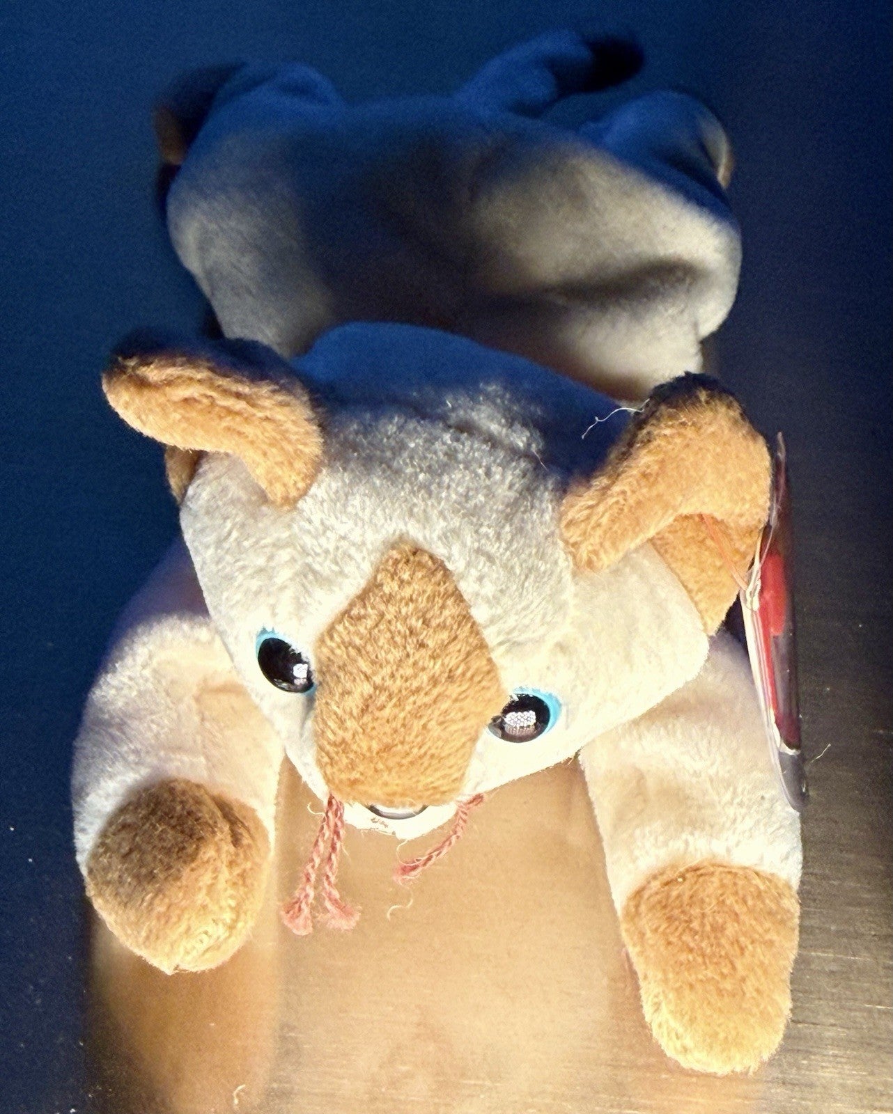 Ty Snip The Siamese Cat 1996 Beanie Baby