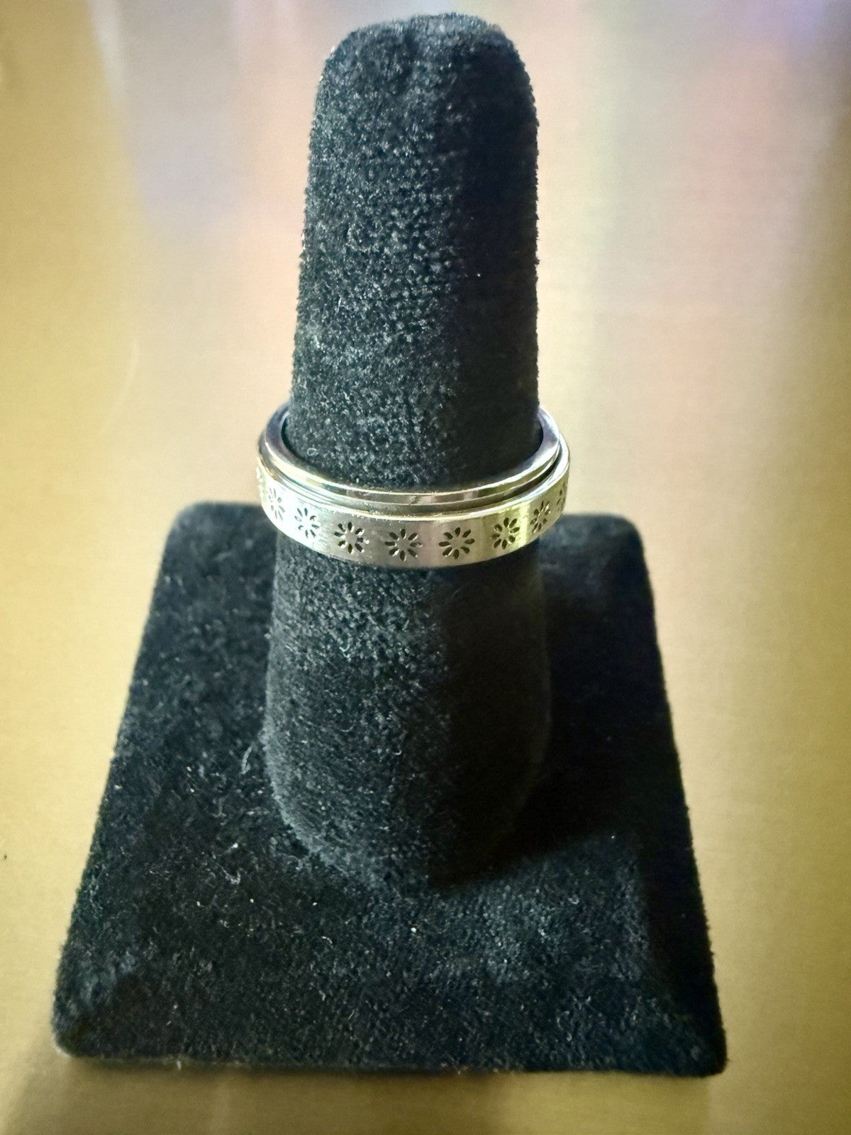 Stainless Steel Spinner Ring - Size 10.5