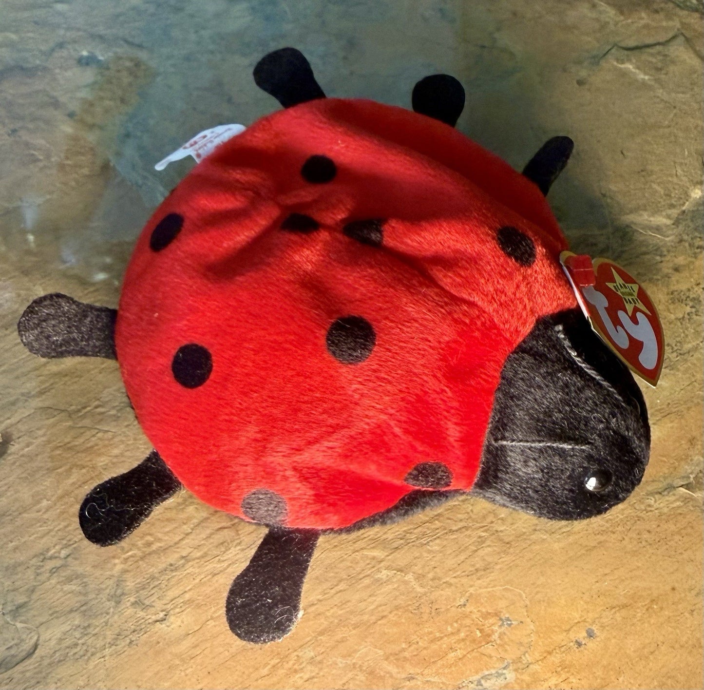 TY Beanie Baby Lucky The Ladybug with Spots