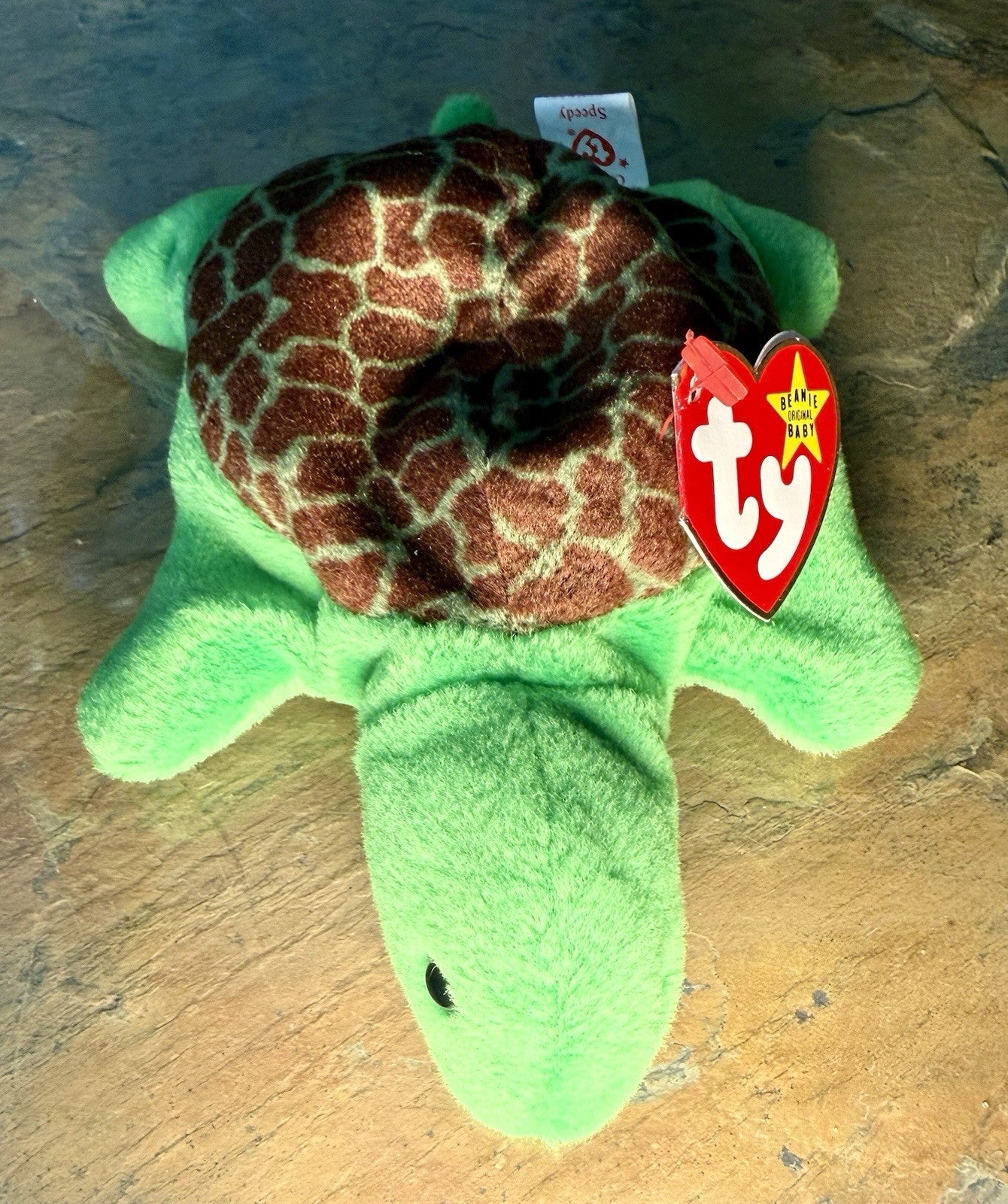 Ty Beanie Baby - SPEEDY the Turtle