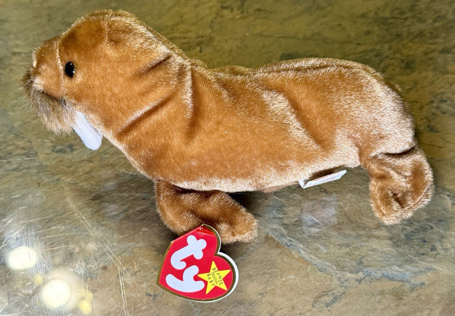 Ty Beanie Baby Paul the Walrus 