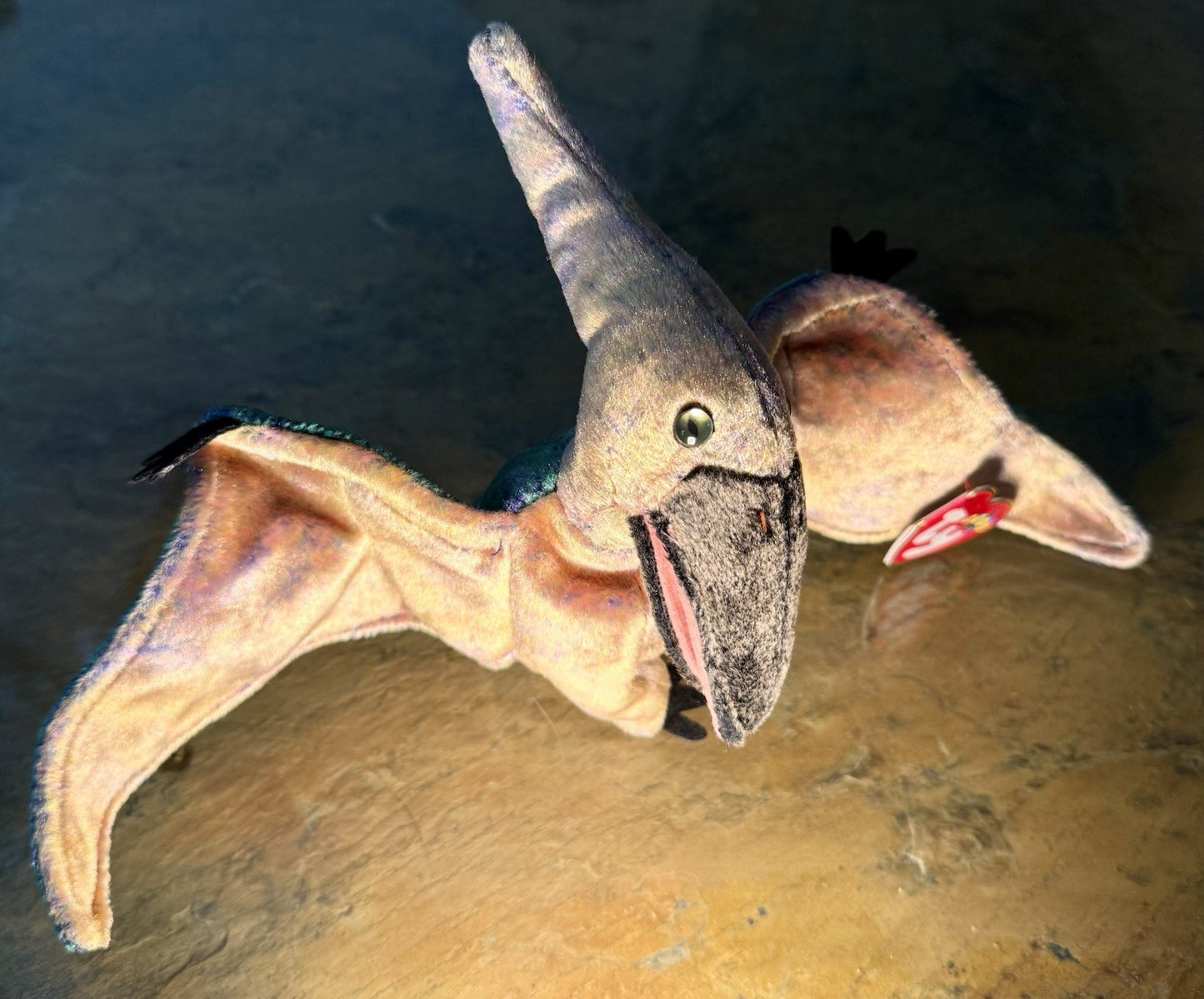  Ty Beanie Baby Swoop the Pterodactyl