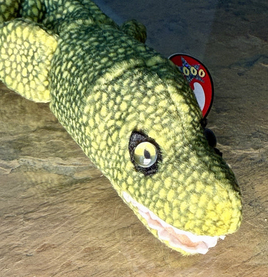 Ty Beanie Baby Morrie the Moray Eel Plush February 20, 2000 With Tags