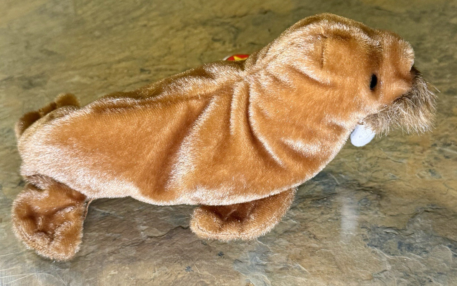 Ty Beanie Baby Paul the Walrus 