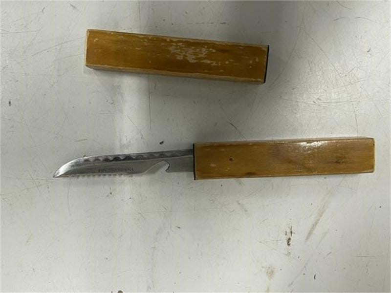 Vintage Floating Fish Knife With Wooden Sheath